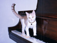 Taro Playing the Piano