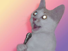 Taro Singing
