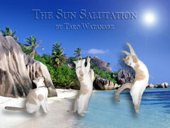 Sun Saltation
